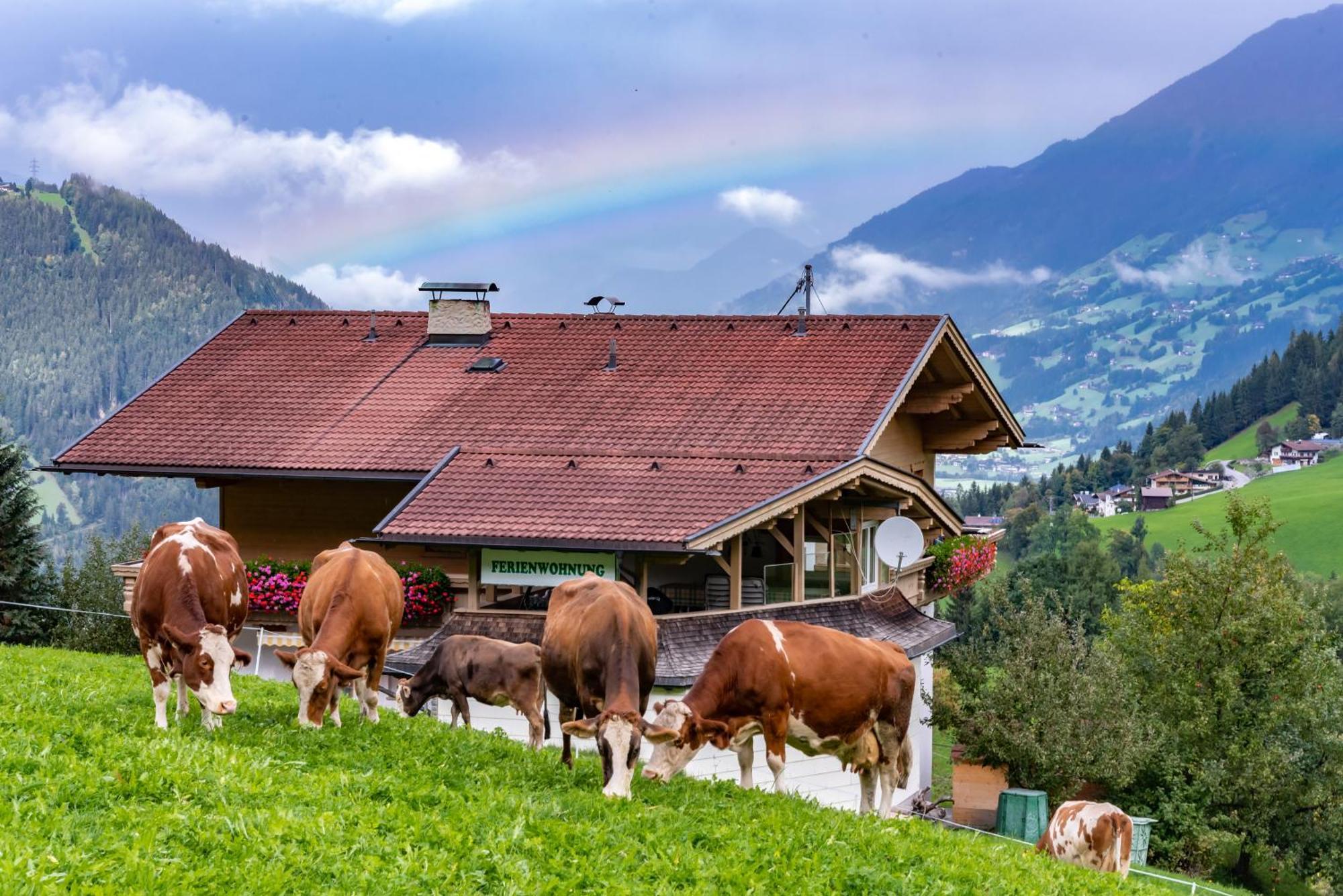 היינצנברג Ferienwohnung Ausblick Zillertal מראה חיצוני תמונה